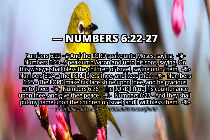 Image for NUMBERS 6:22-27 Bible verse