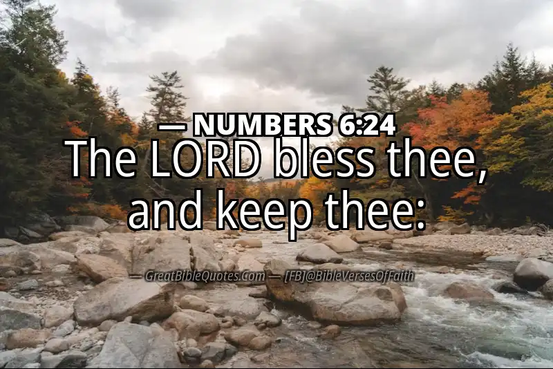 NUMBERS 6:24 Verse