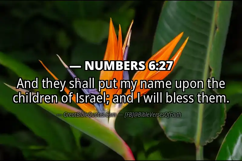 NUMBERS 6:27 Verse