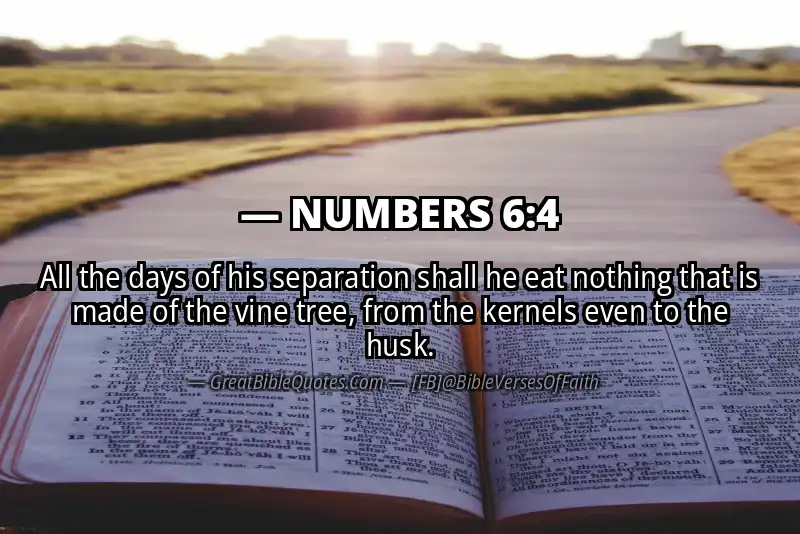 NUMBERS 6:4 Verse