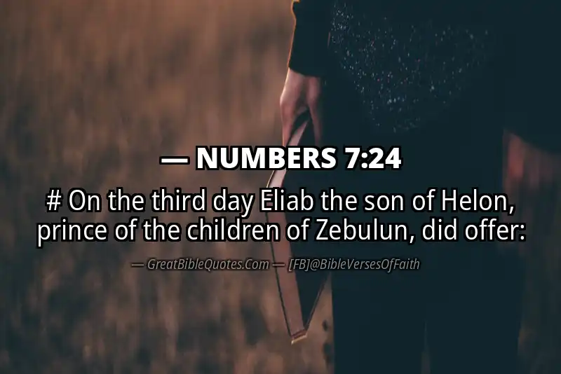 NUMBERS 7:24 Verse