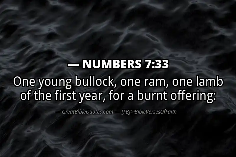 NUMBERS 7:33 Verse