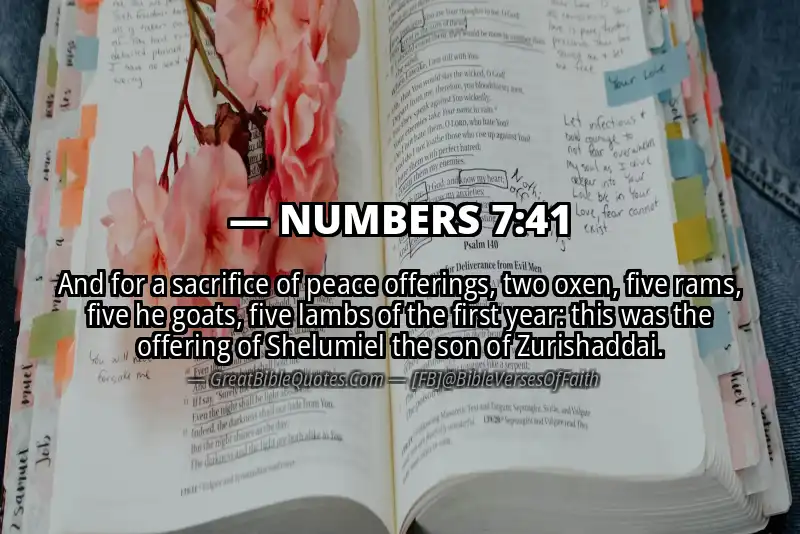 NUMBERS 7:41 Verse