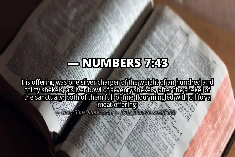 NUMBERS 7:43 Verse Image