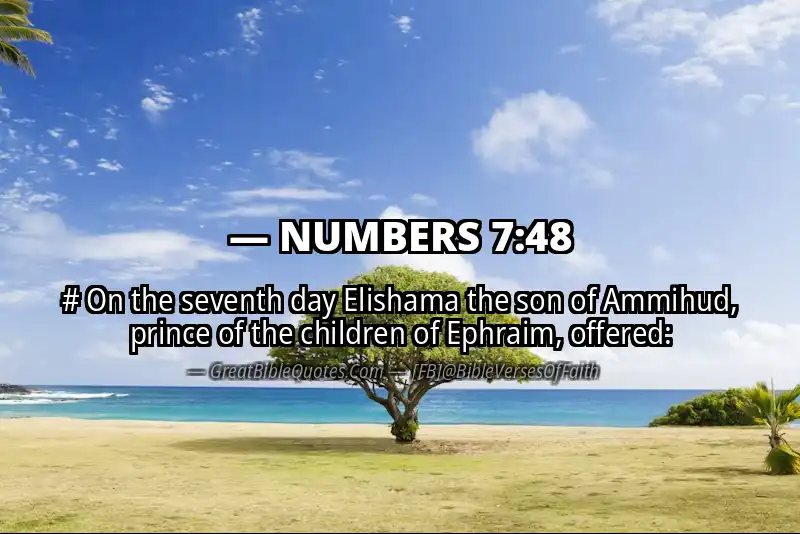 NUMBERS 7:48 Verse