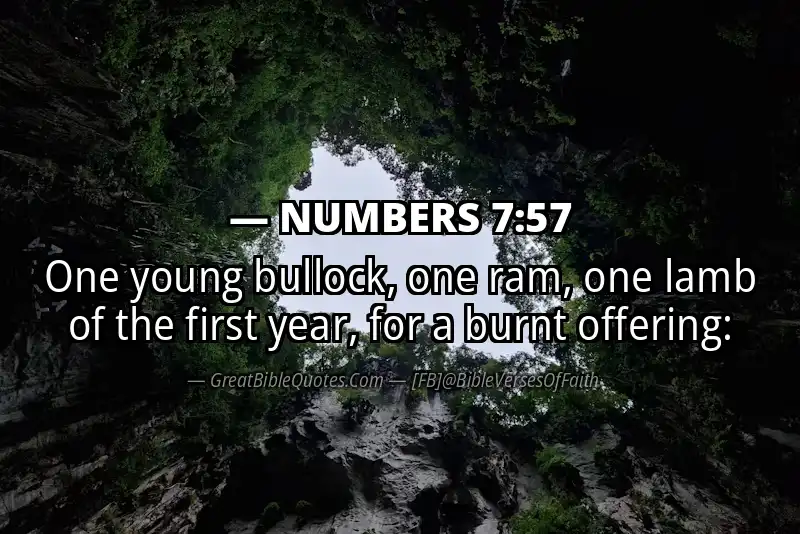 NUMBERS 7:57 Verse Image