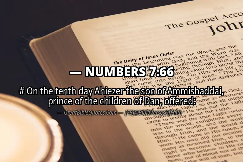 NUMBERS 7:66 Verse