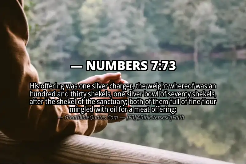 NUMBERS 7:73 Verse