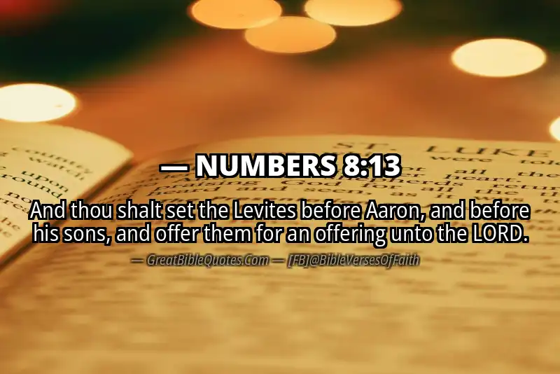 NUMBERS 8:13 Verse