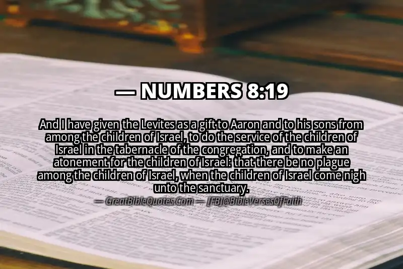 NUMBERS 8:19 Verse