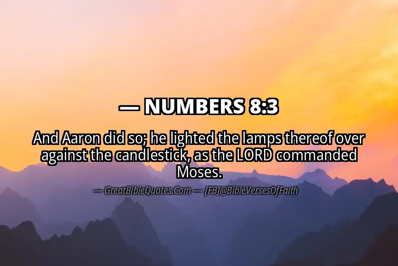 NUMBERS 8:3 Verse