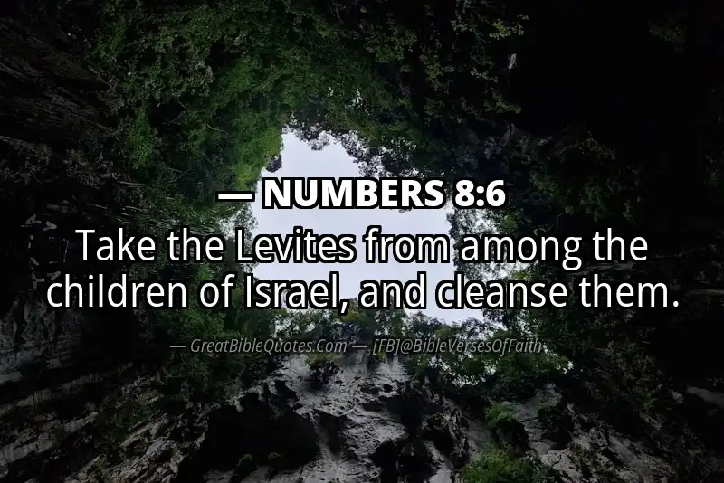 NUMBERS 8:6 Verse