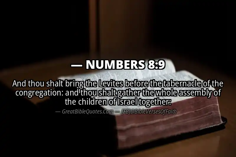 NUMBERS 8:9 Verse
