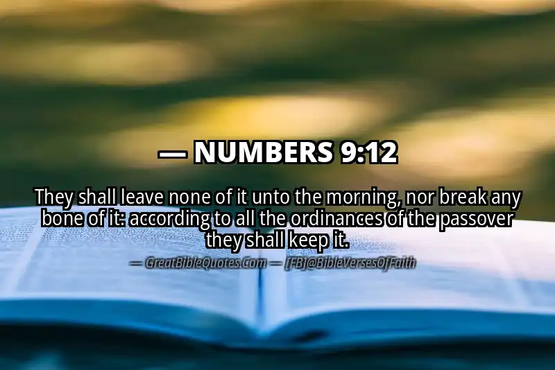 NUMBERS 9:12 Verse