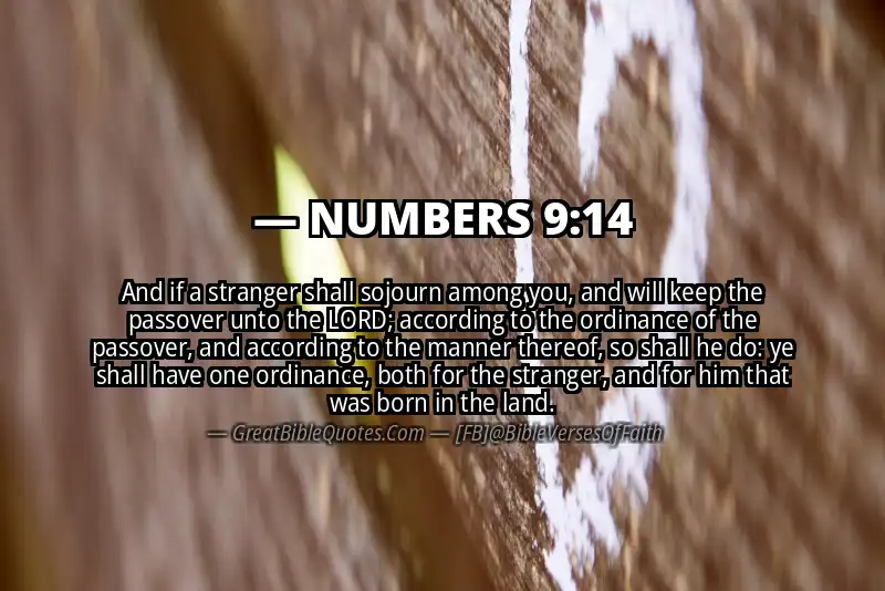 NUMBERS 9:14 Verse