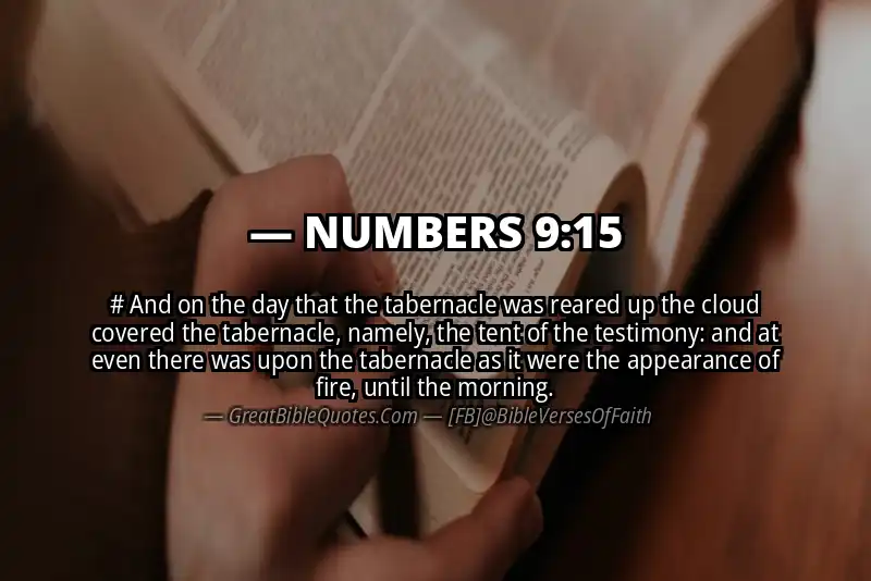 NUMBERS 9:15 Verse