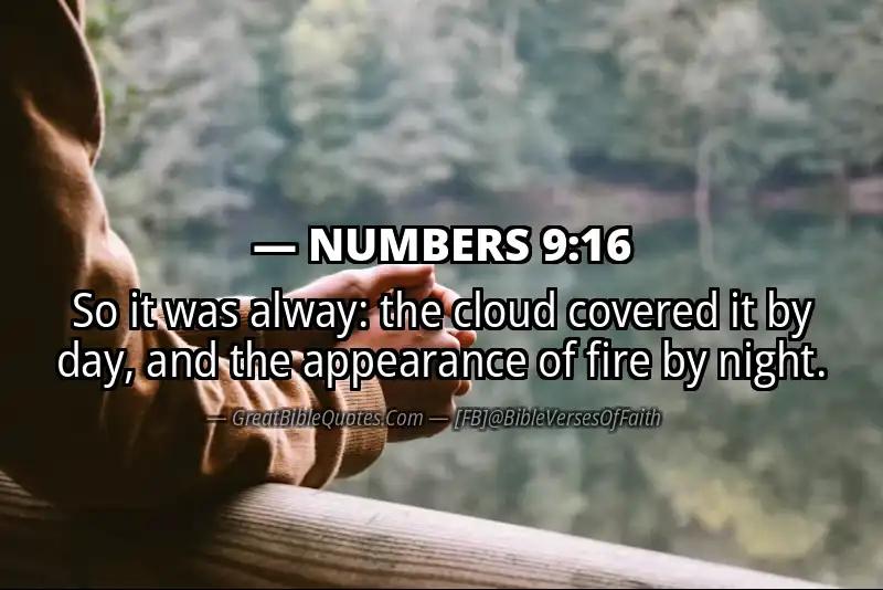 NUMBERS 9:16 Verse