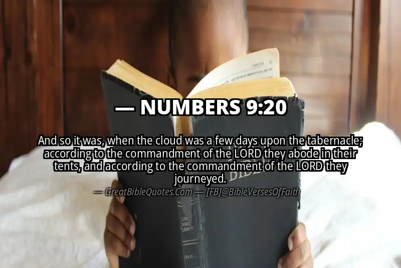 NUMBERS 9:20 Verse
