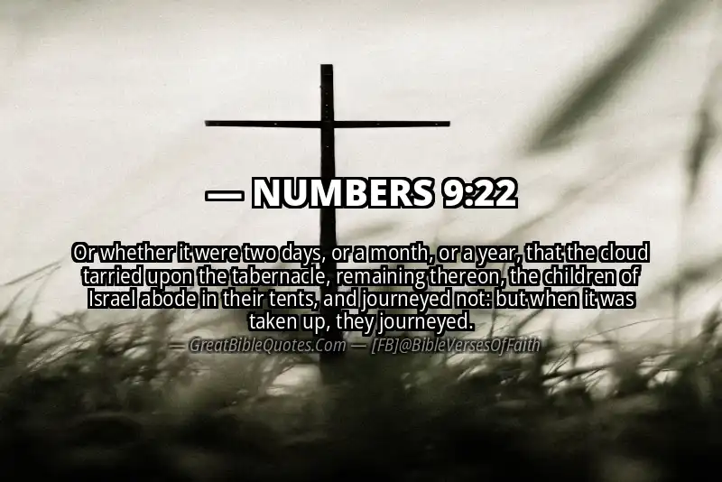 NUMBERS 9:22 Verse