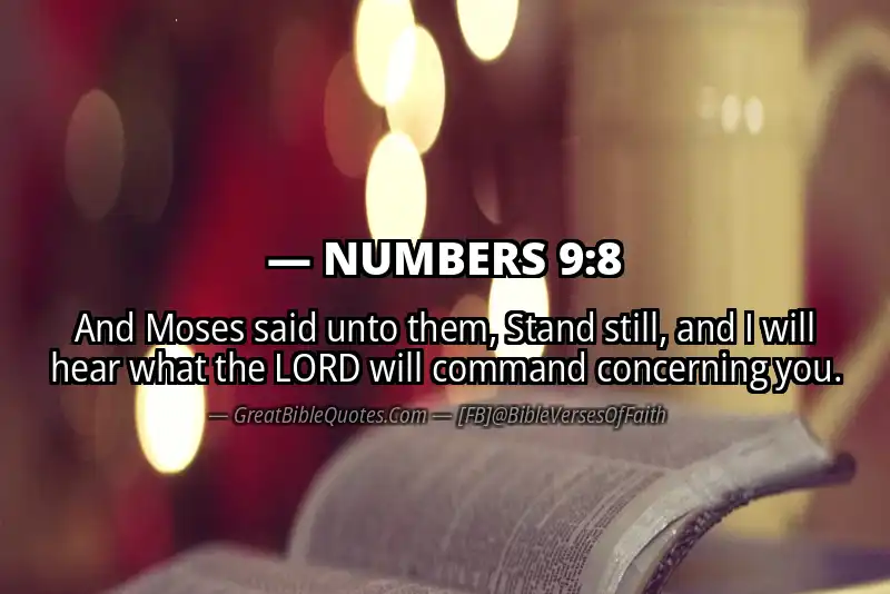 NUMBERS 9:8 Verse Image
