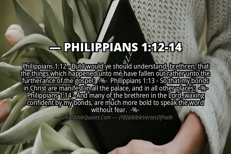 Image for PHILIPPIANS 1:12-14 Bible verse