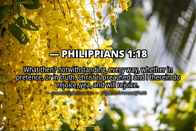 Bible verse: PHILIPPIANS 1:18 Image