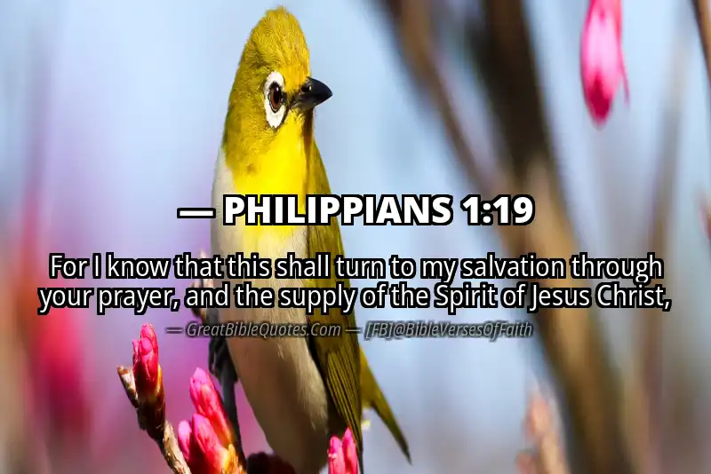 Bible verse: PHILIPPIANS 1:19 Image