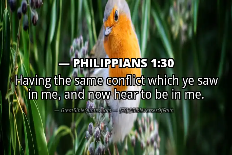 PHILIPPIANS 1:30 Verse