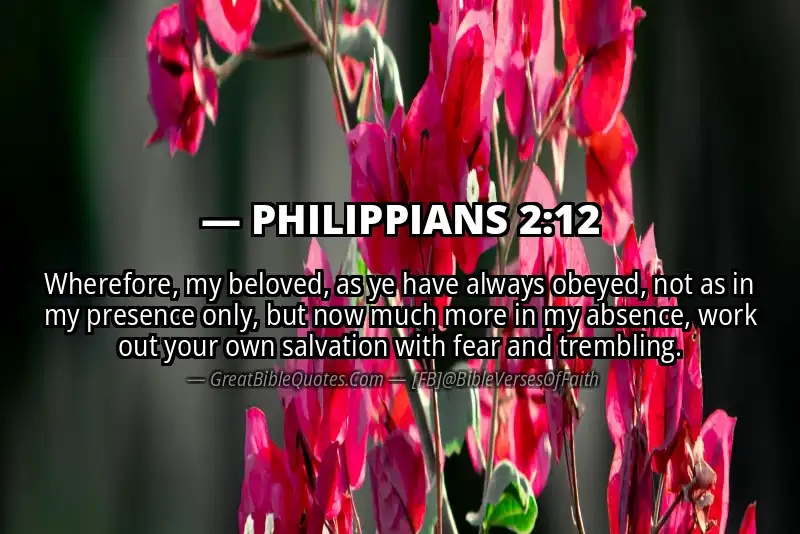 Bible verse: PHILIPPIANS 2:12 Image