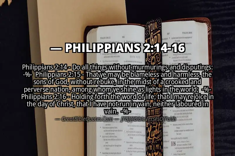 Image for PHILIPPIANS 2:14-16 Bible verse