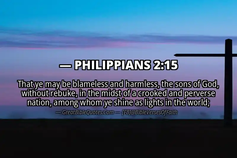 Image for PHILIPPIANS 2:15 Bible verse