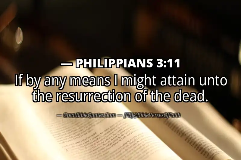 Bible verse: PHILIPPIANS 3:11 Image