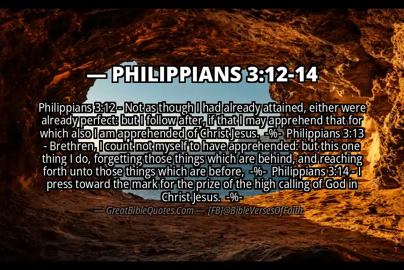 Image for PHILIPPIANS 3:12-14 Bible verse