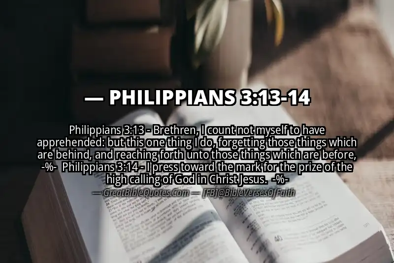 Image for PHILIPPIANS 3:13-14 Bible verse