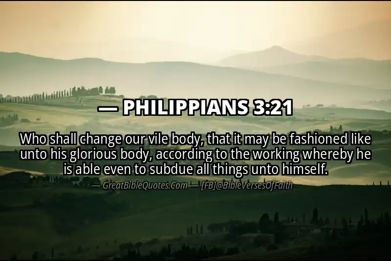PHILIPPIANS 3:21 Verse
