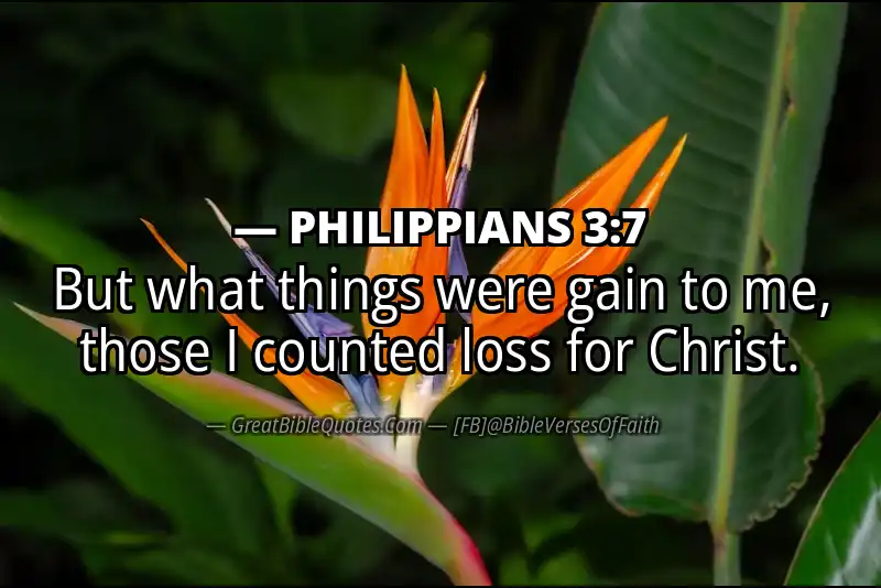 PHILIPPIANS 3:7 Verse