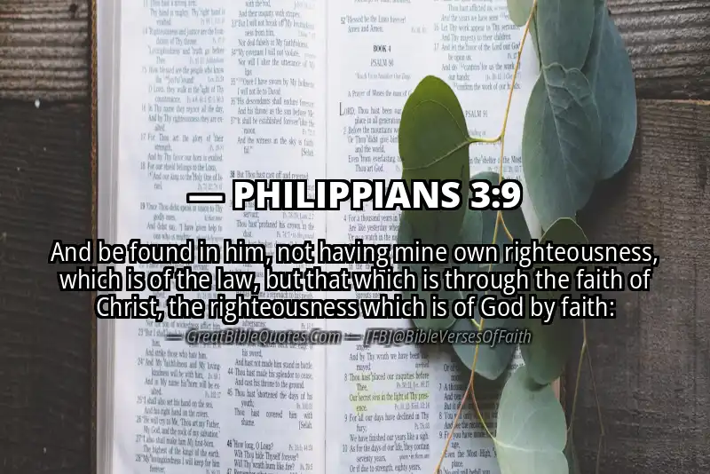 Bible verse: PHILIPPIANS 3:9 Image