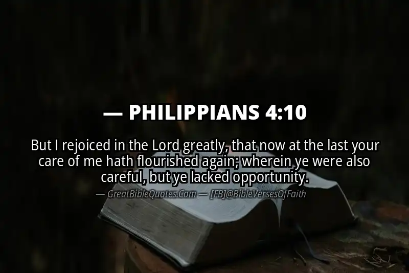 Bible verse: PHILIPPIANS 4:10 Image