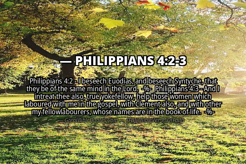 Image for PHILIPPIANS 4:2-3 Bible verse