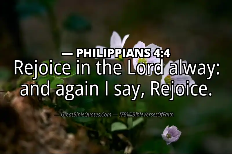 PHILIPPIANS 4:4 Verse