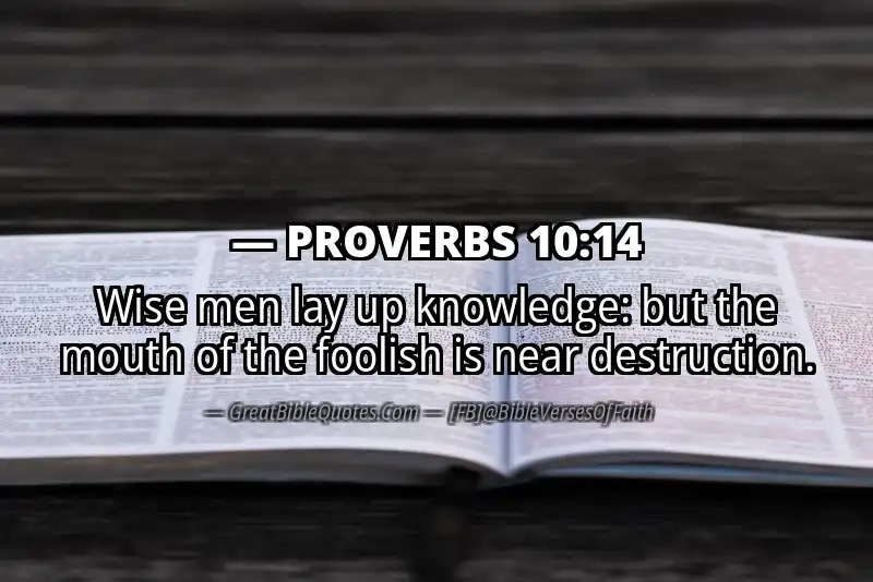 PROVERBS 10:14 Verse