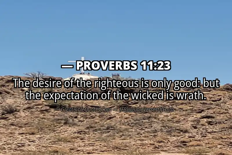 PROVERBS 11:23 Verse