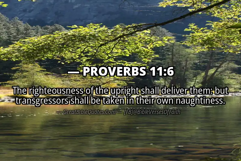 PROVERBS 11:6 Verse
