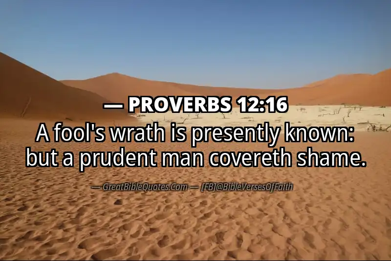 Image for PROVERBS 12:16 Bible verse