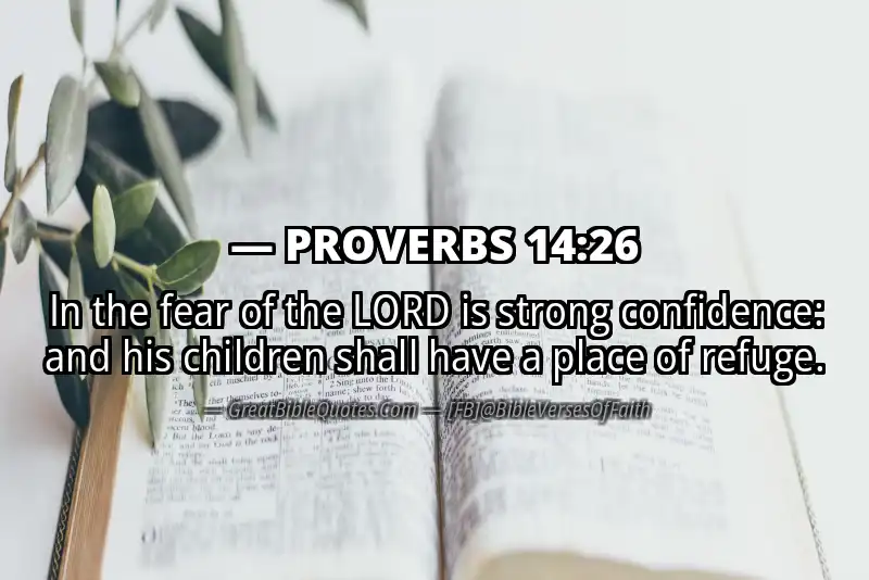 PROVERBS 14:26 Verse