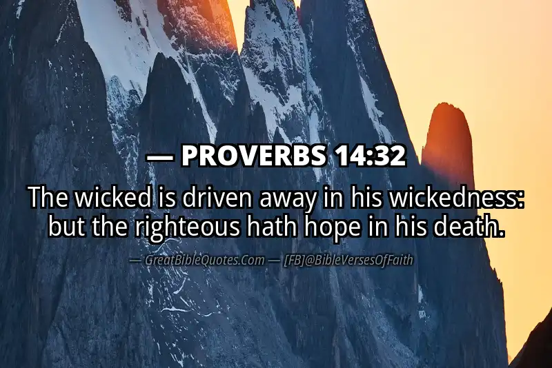 PROVERBS 14:32 Verse