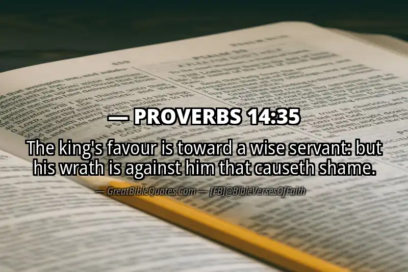 PROVERBS 14:35 Verse