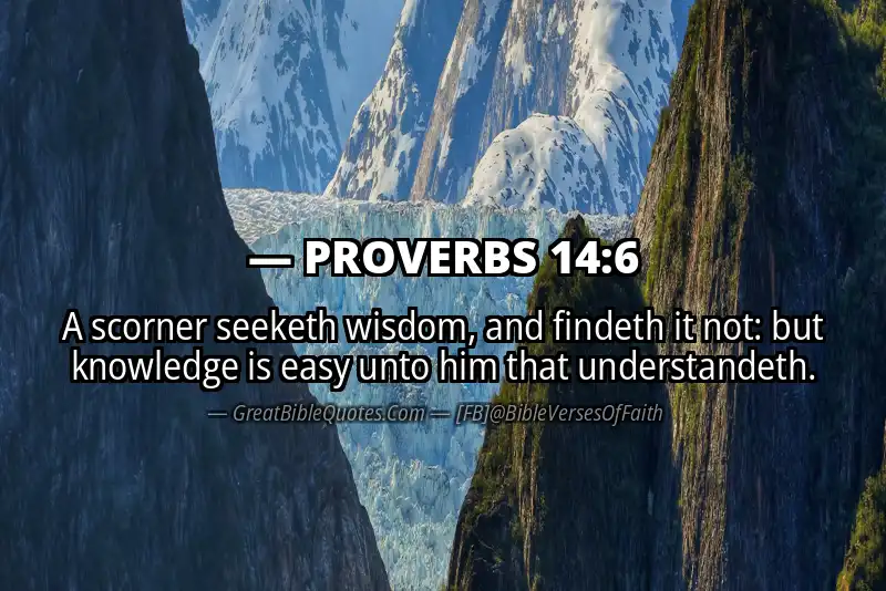PROVERBS 14:6 Verse
