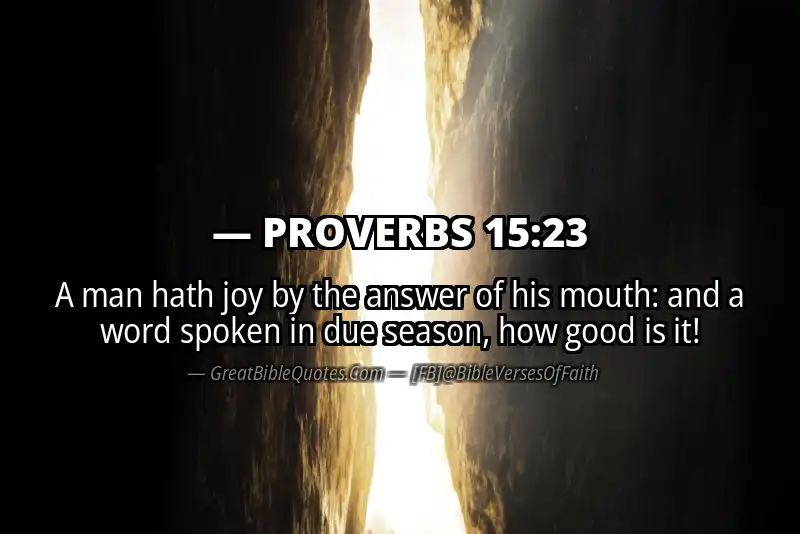 Image for PROVERBS 15:23 Bible verse