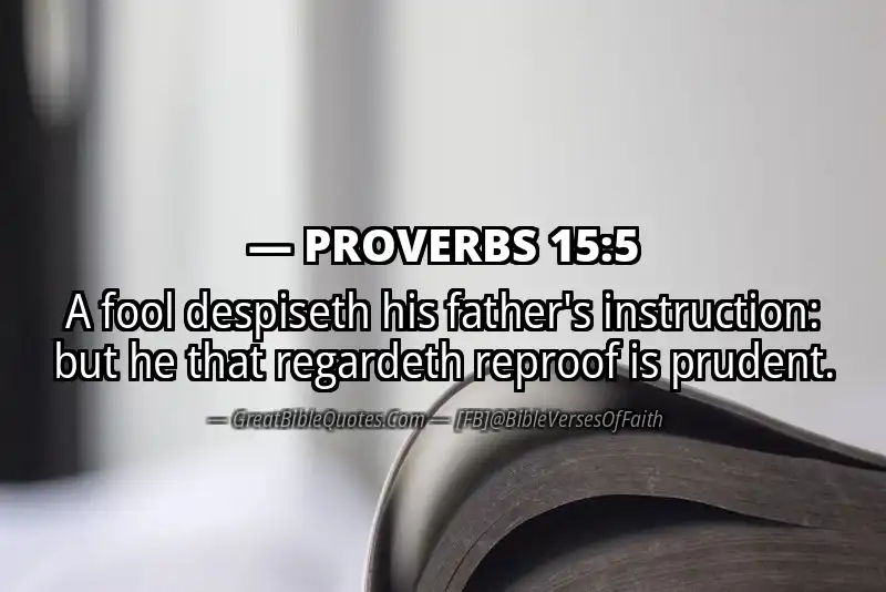 Image for PROVERBS 15:5 Bible verse